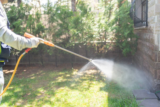 Best Pest Control for Homes  in Windham, OH