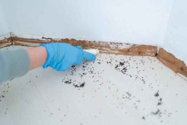 Best Pest Prevention Services  in Windham, OH