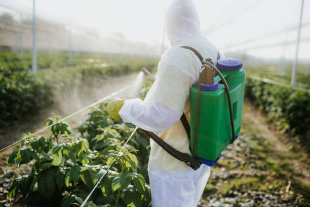 Best Flea Control Services  in Windham, OH